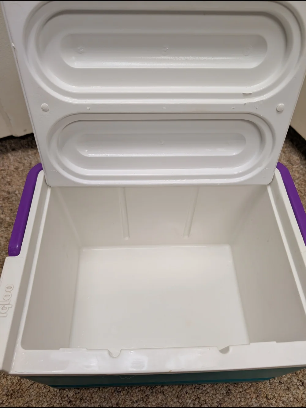 Vintage 90s Igloo Legend 12 Can Cooler With Teal Body & Purple Handle